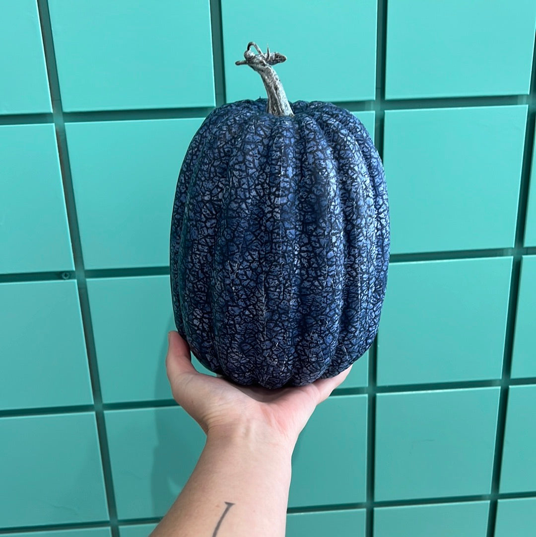 Blue and White Pumpkin Medium