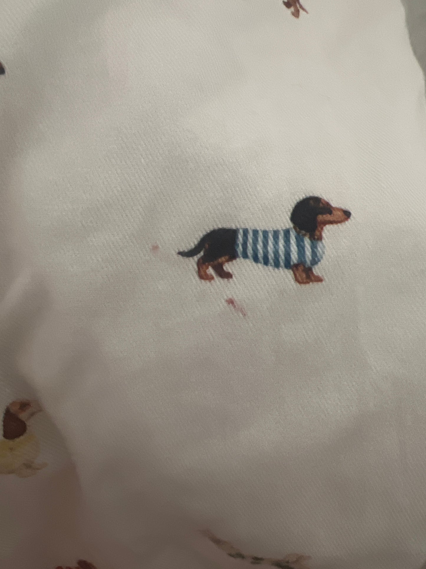 Pooch Pants- *damaged, small make up stain- was washed but didnt come out*