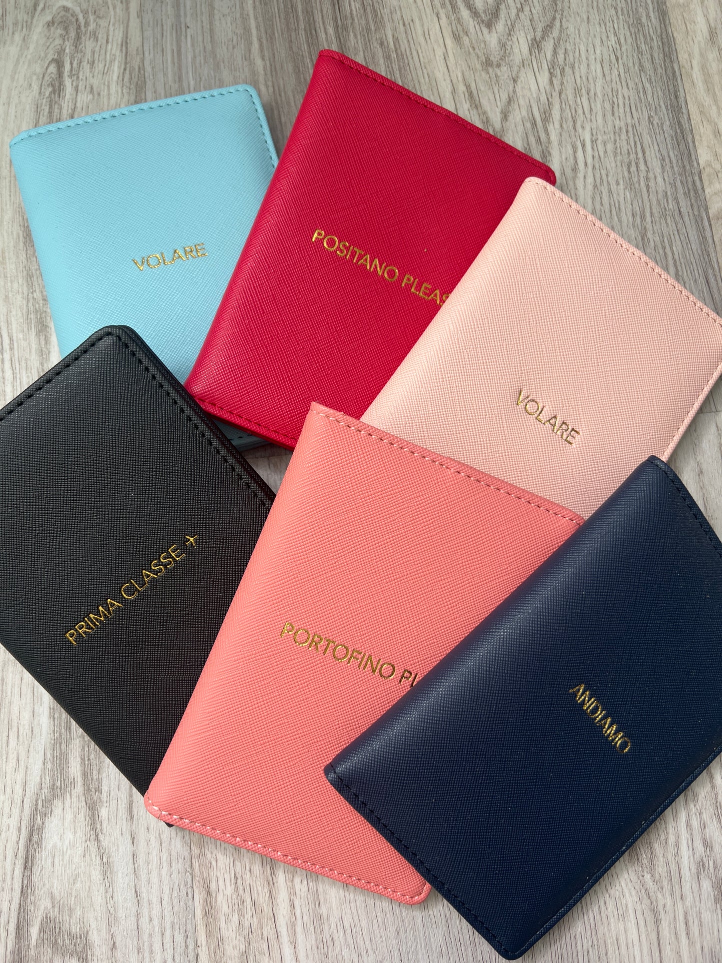 Passport Holder