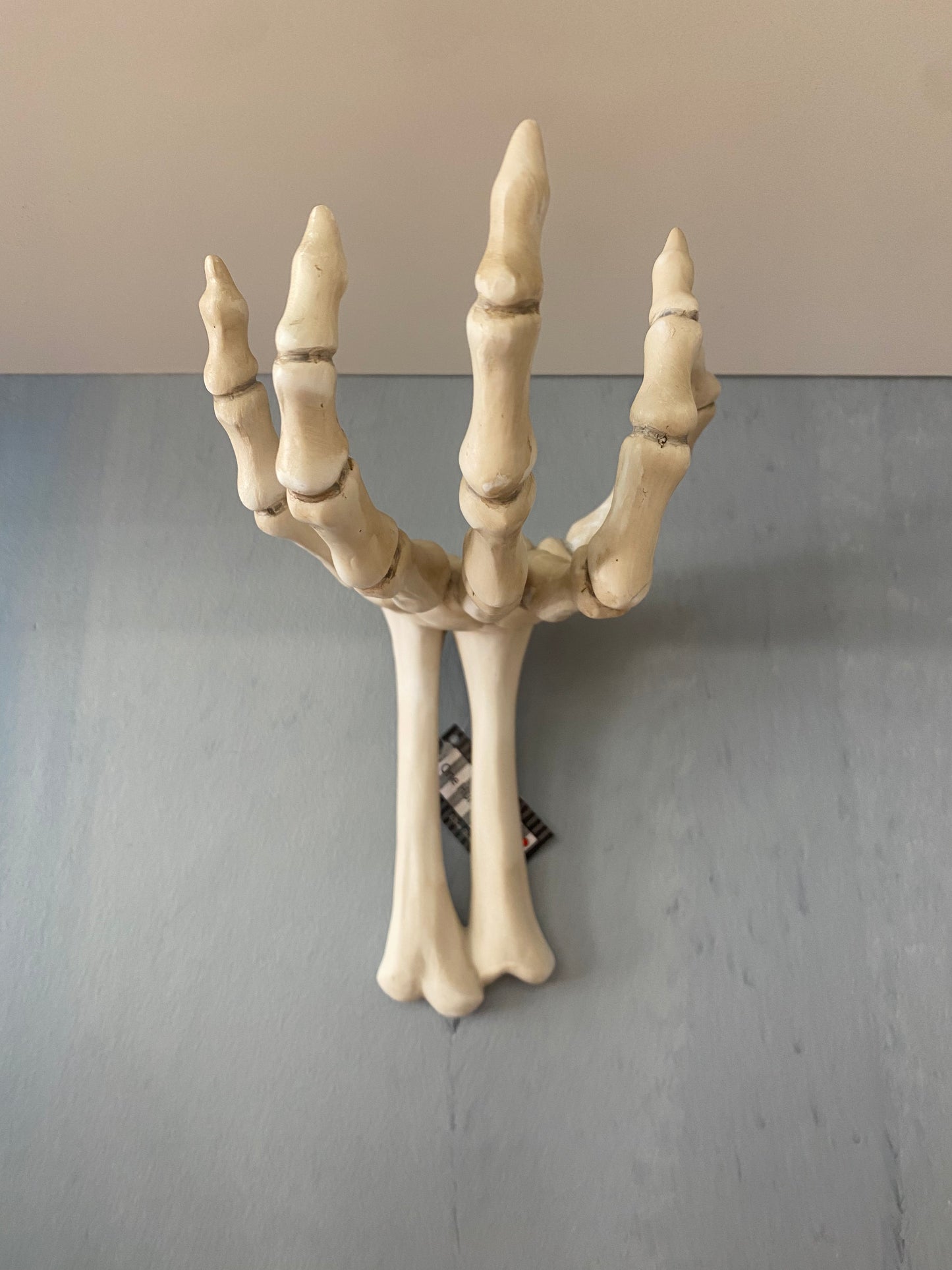 Resin Skull Hand