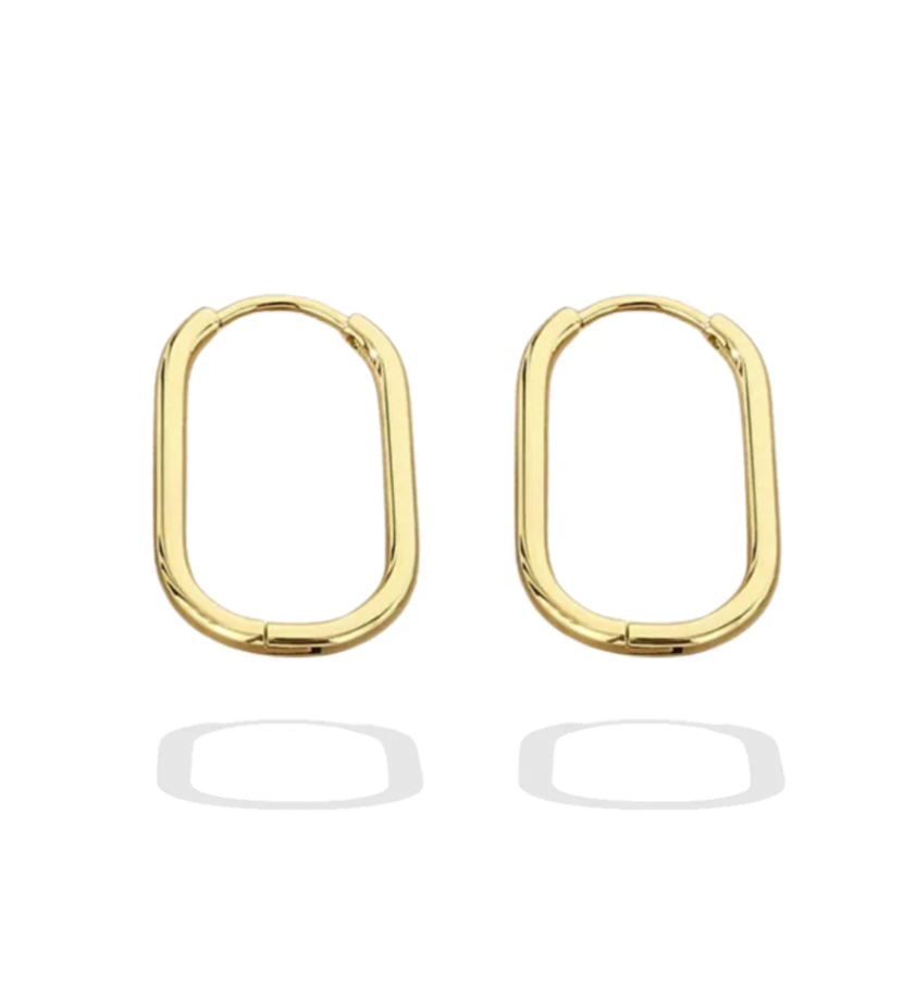 Hugo Earrings