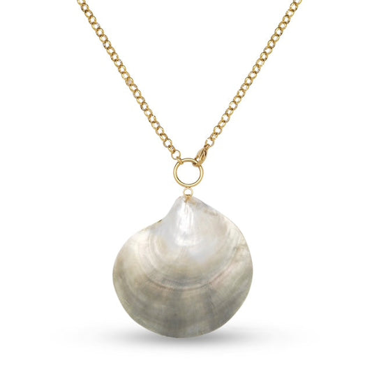 Rosalia Seashell Chain Necklace